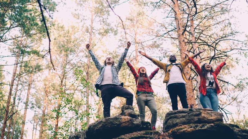 Benefits of an Alcohol-Free Lifestyle for Professionals